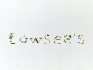 lowsees_1