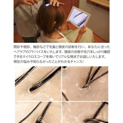 【ワークショップ】毛髪診断士の無料カウンセリング会